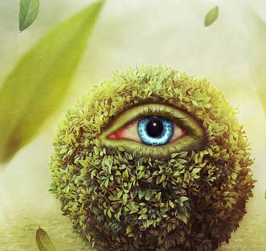 ddos压力测试平台