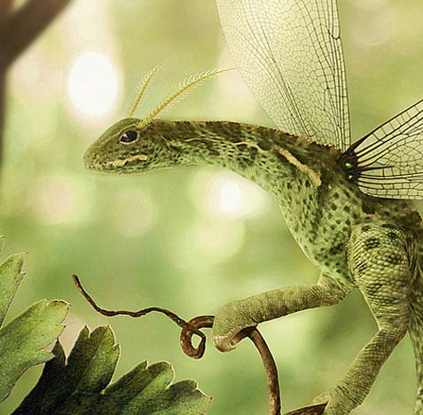 网站ddos隐藏源ip