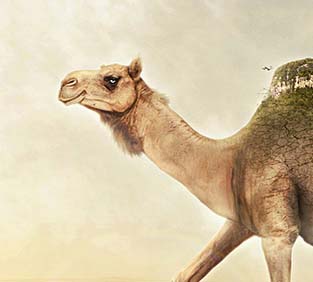 ddos压力测试平台