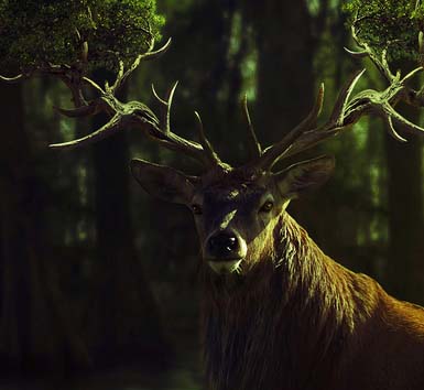 ddos在线攻击工具